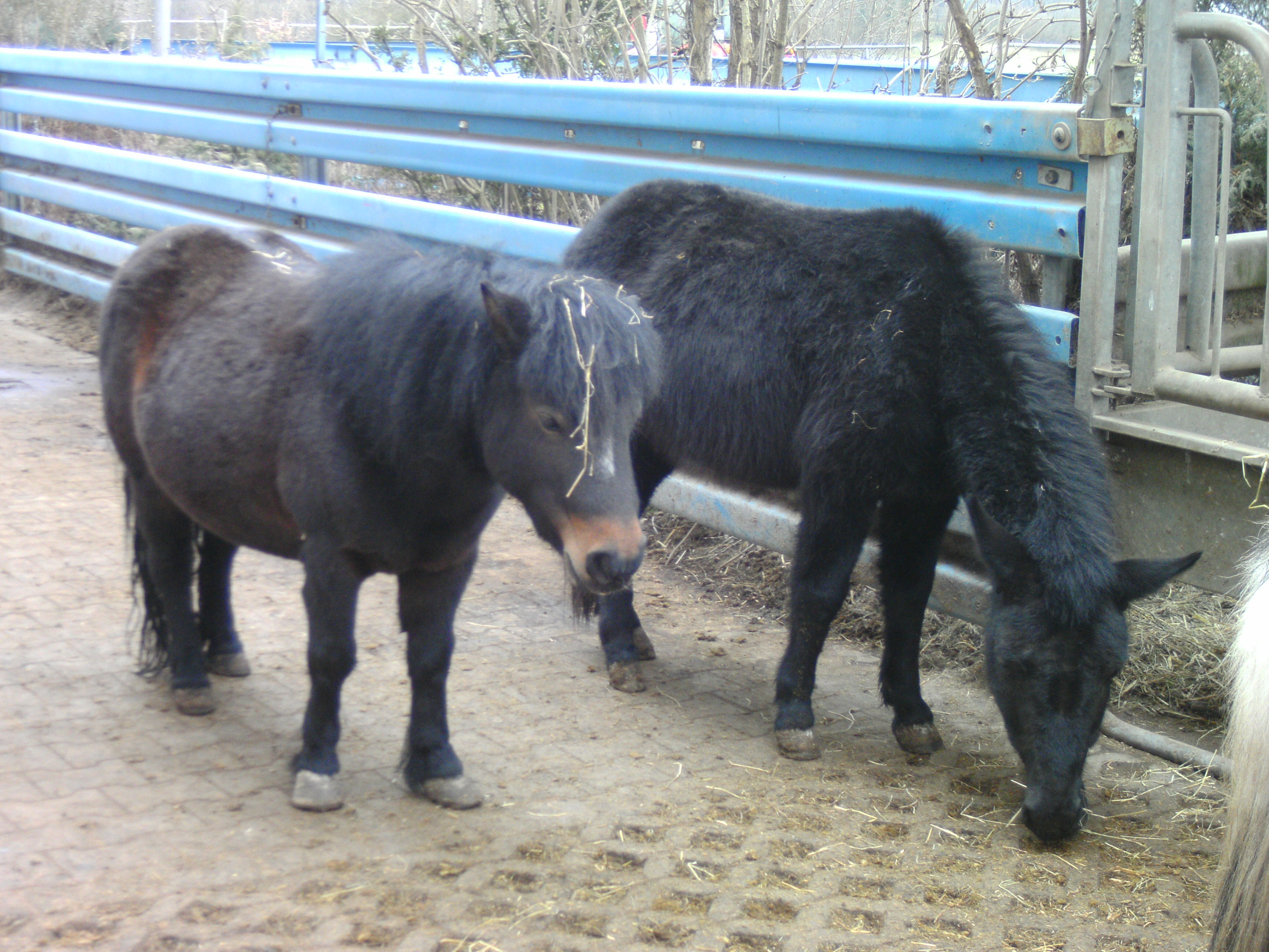 100DSCIM 2013-04-03_11-29-20