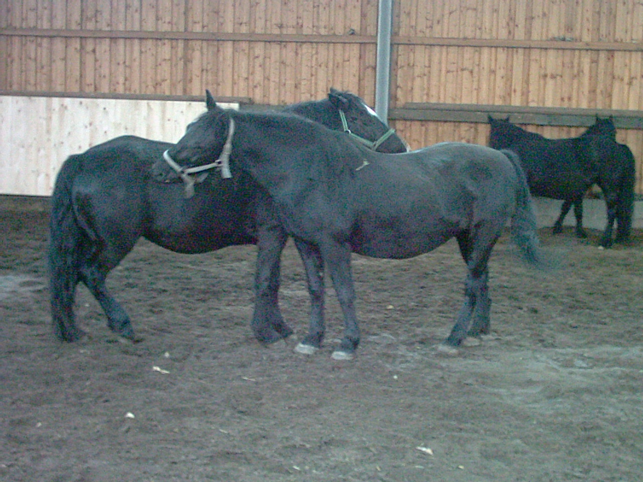 2002-01-01_10-10-00_07