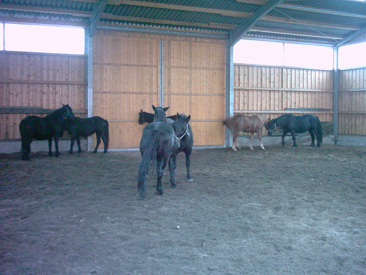 2002-01-01_10-10-00_09