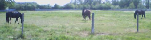 IMG_20160511_110801-1